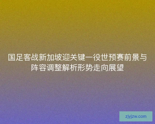 国足客战新加坡迎关键一役世预赛前景与阵容调整解析形势走向展望