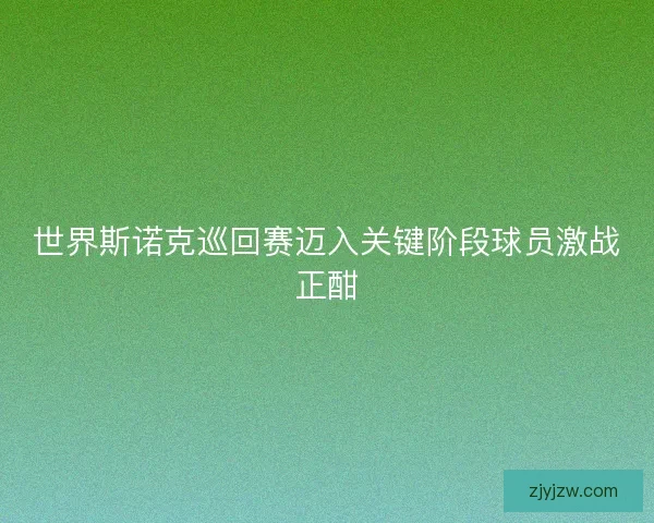 世界斯诺克巡回赛迈入关键阶段球员激战正酣