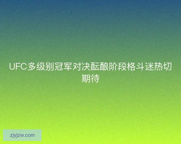 UFC多级别冠军对决酝酿阶段格斗迷热切期待 UFC多级别冠军对决酝酿阶段格斗迷热切期待