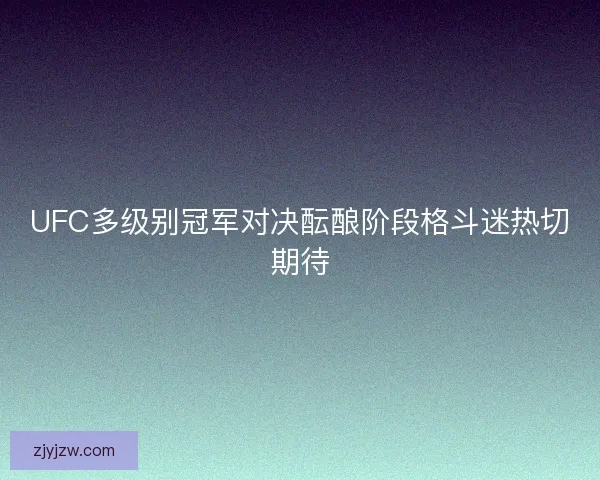 UFC多级别冠军对决酝酿阶段格斗迷热切期待